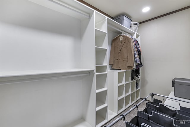 walk in closet with carpet