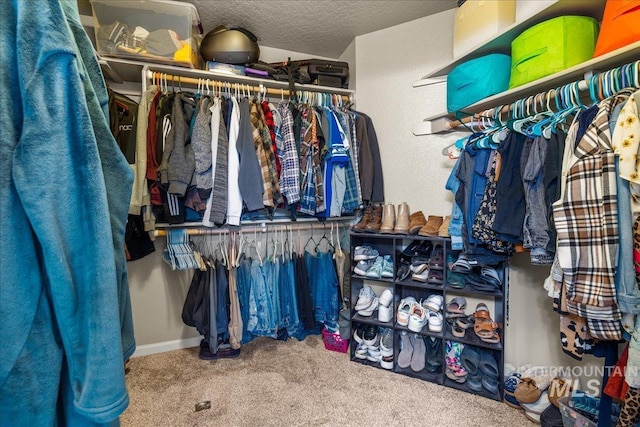 2030 W Cabot Ave, Nampa, ID 83686 - spacious closet featuring carpet