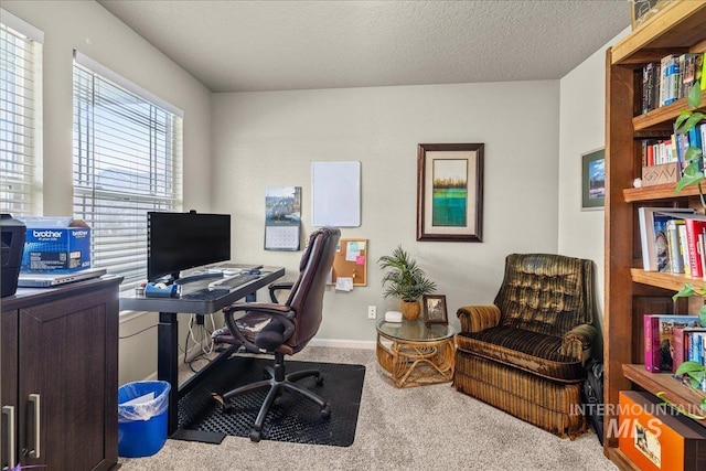 2030 W Cabot Ave, Nampa, ID 83686 - office area featuring baseboards, carpet floors, and a textured ceiling