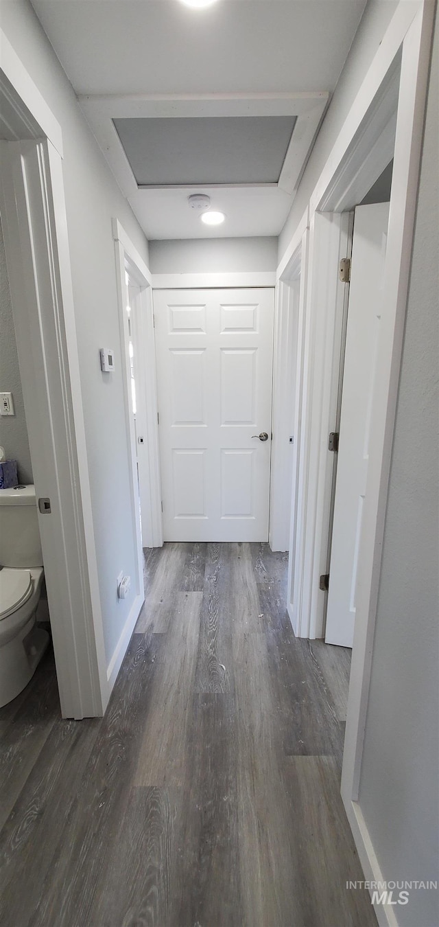 hallway with dark wood-type flooring