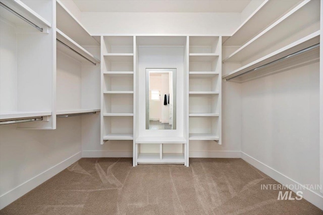 spacious closet with carpet floors