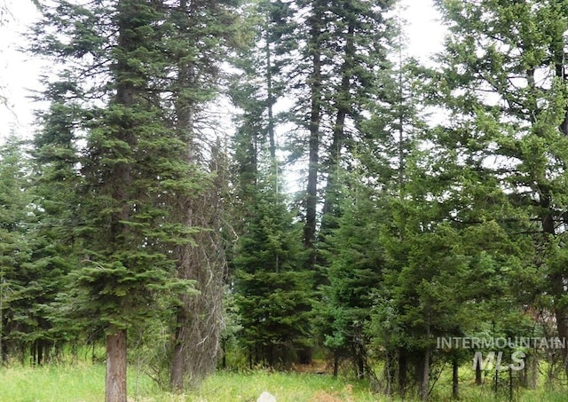 TBDLOT1 Clements, Mccall ID, 83638 land for sale