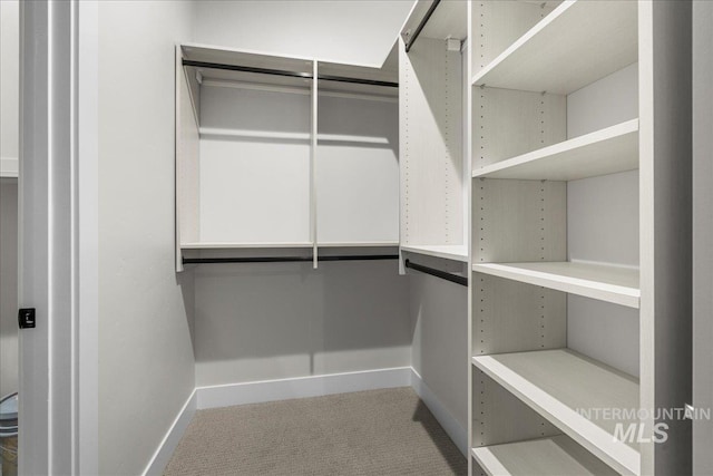 spacious closet with carpet floors