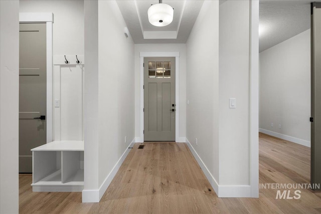 interior space with light hardwood / wood-style floors and a tray ceiling