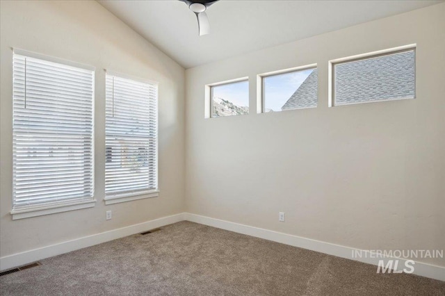 701 N 2nd Ave, Hailey, ID 83333 - empty room featuring carpet floors, baseboards, vaulted ceiling, and visible vents