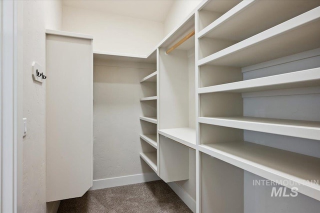 701 N 2nd Ave, Hailey, ID 83333 - spacious closet featuring carpet floors