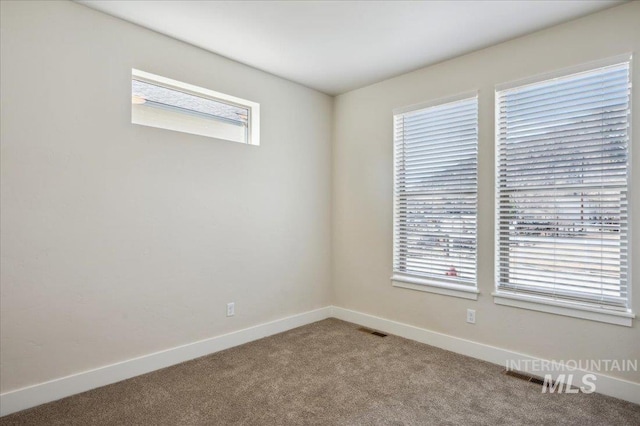 701 N 2nd Ave, Hailey, ID 83333 - carpeted empty room with baseboards, visible vents, and a wealth of natural light
