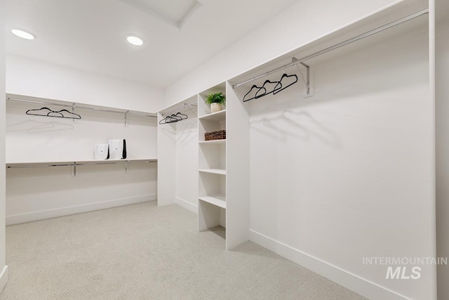 walk in closet with light carpet