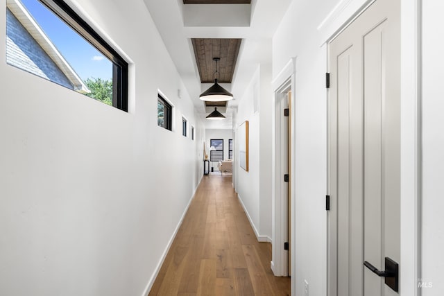 2206 N 20th, Boise, ID 83702 - hallway featuring wood-type flooring, healthy amount of natural light, and a high ceiling