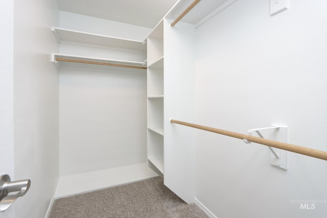 10224 W Altair, Star, ID 83669 - walk in closet featuring carpet floors