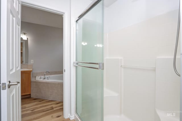 10224 W Altair, Star, ID 83669 - bathroom featuring wood finished floors, a shower stall, a garden tub, and vanity