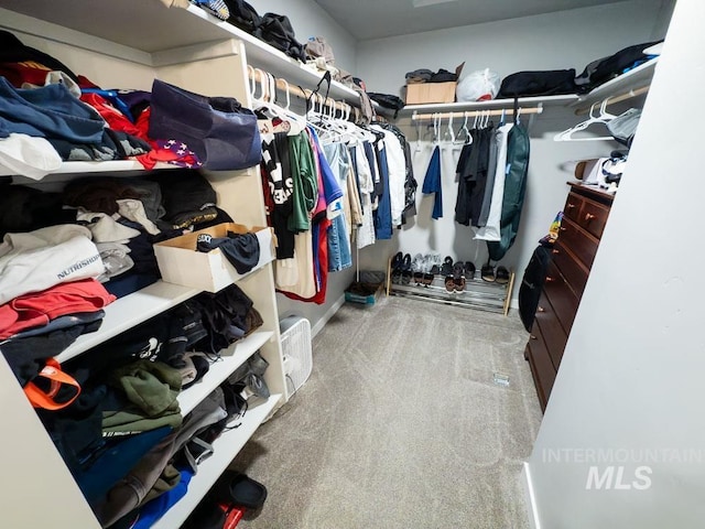 13743 S Sonata Way, Nampa, ID 83651 - walk in closet with carpet flooring