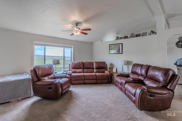 3537 Brogan Rd, Emmett, ID 83617 - living area with a ceiling fan, carpet flooring, and a textured ceiling