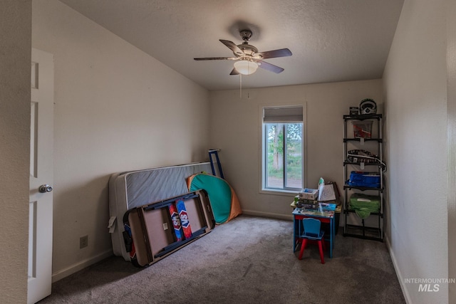 3537 Brogan Rd, Emmett, ID 83617 - bedroom with carpet floors, baseboards, ceiling fan, and a textured ceiling