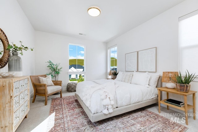 bedroom with carpet flooring