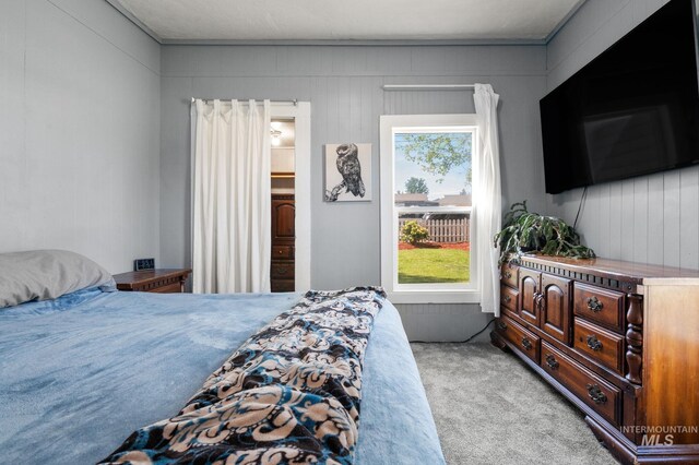 1406 Libby St, Clarkston, WA 99403 - bedroom with light carpet and multiple windows