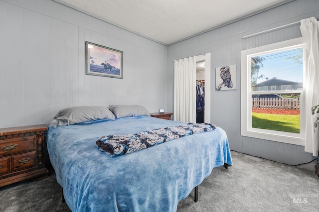 1406 Libby St, Clarkston, WA 99403 - carpeted bedroom with a spacious closet and a closet