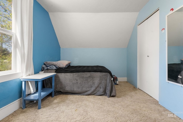 1406 Libby St, Clarkston, WA 99403 - bedroom featuring lofted ceiling, carpet floors, and a closet