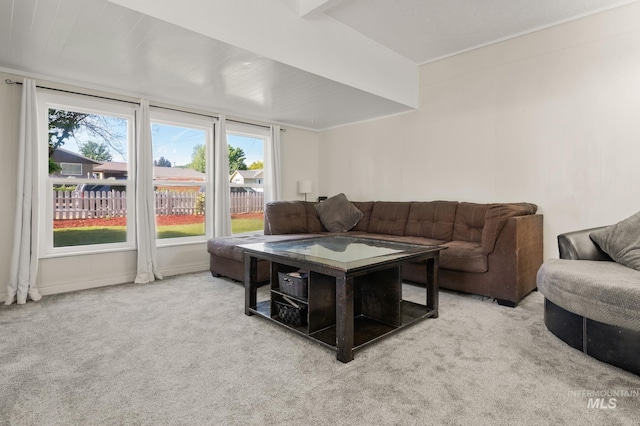 1406 Libby St, Clarkston, WA 99403 - living room featuring carpet flooring