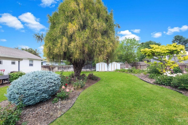 3509 8th St Unit C, Lewiston, ID 83501 - view of yard