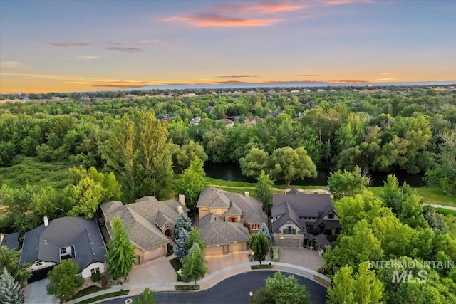 215 W Riverbridge Ln, Eagle, ID 83616 - aerial view at dusk of a residential view, a wooded view, and a water view