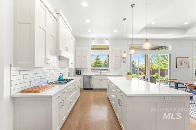 5740 N Asissi Way, Meridian, ID 83646 - kitchen featuring appliances with stainless steel finishes, wood finished floors, plenty of natural light, tasteful backsplash, and recessed lighting