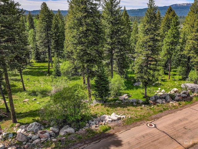 1210 Aspen Ridge Ln, Mccall, ID 83638