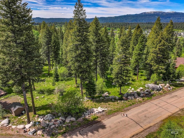 1210 Aspen Ridge Ln, Mccall, ID 83638