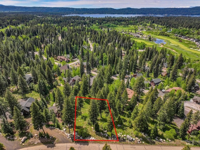 1210 Aspen Ridge Ln, Mccall, ID 83638