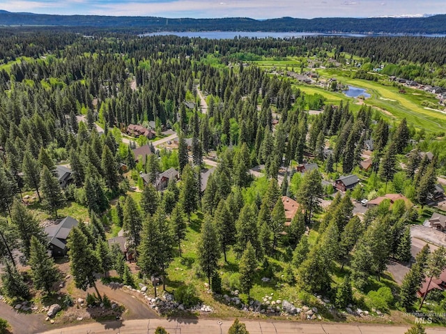 1210 Aspen Ridge Ln, Mccall, ID 83638