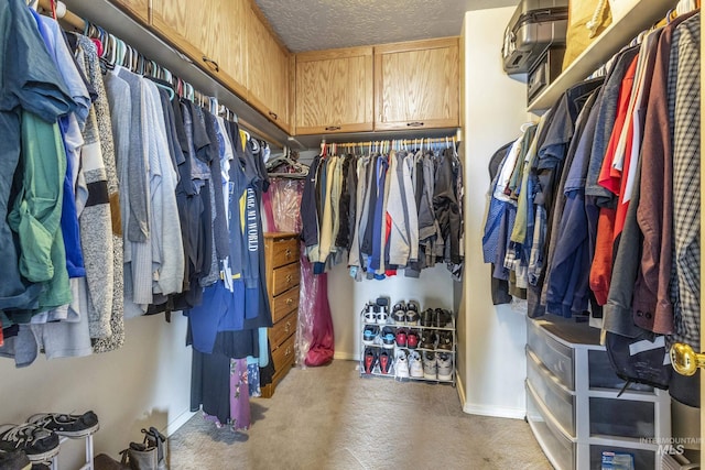 view of walk in closet