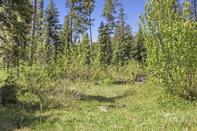 429 Doriann Dr, Cascade, ID 83611 - view of tree filled area