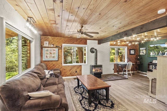 429 Doriann Dr, Cascade, ID 83611 - living area with wood ceiling, a wood stove, healthy amount of natural light, wood walls, and wood finished floors