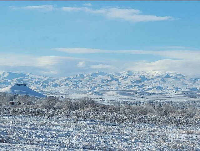 20169 Hoskins Rd, Caldwell, ID 83607 - property view of mountains