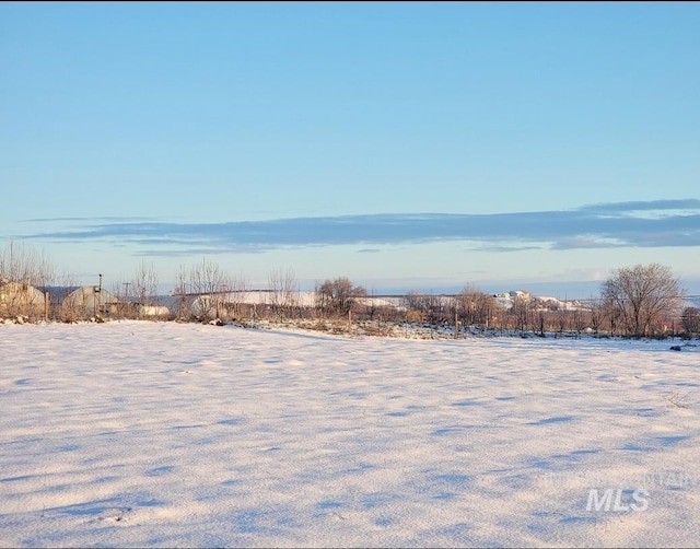 20169 Hoskins Rd, Caldwell, ID 83607 - view of yard