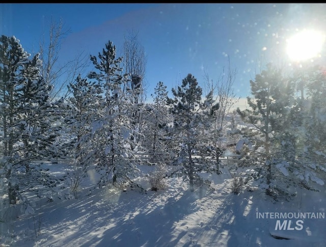 20169 Hoskins Rd, Caldwell, ID 83607 - exterior space