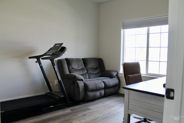 office space with light wood-type flooring and a wealth of natural light