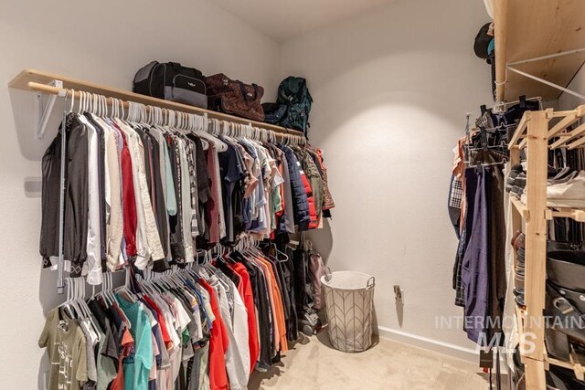 spacious closet featuring carpet floors