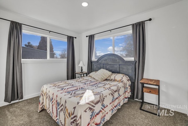 1930 Poplar Ave, Twin Falls, ID 83301 - carpeted bedroom with baseboards and recessed lighting