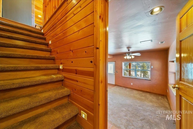 stairway with carpet