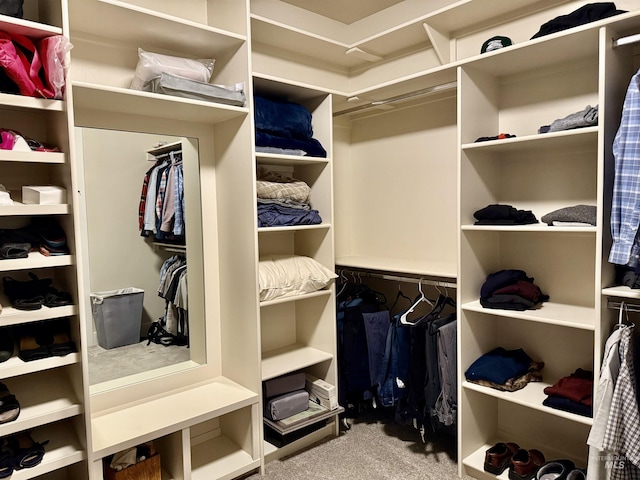 2280 N Burnam Ave, Star, ID 83669 - walk in closet featuring carpet flooring
