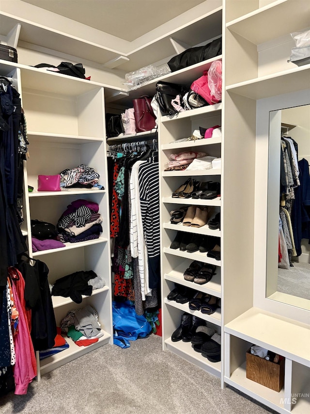 2280 N Burnam Ave, Star, ID 83669 - walk in closet featuring carpet floors