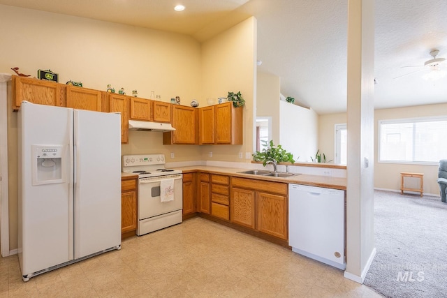 kitchen featuring white appliances, light floors, light countertops, under cabinet range hood, and a sink