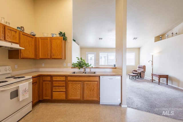 kitchen featuring brown cabinetry, white appliances, a sink, and under cabinet range hood