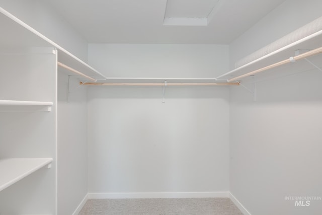 walk in closet featuring carpet flooring