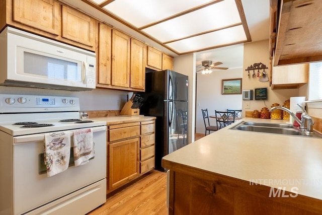 kitchen featuring light countertops, light wood-style flooring, white appliances, a ceiling fan, and a sink