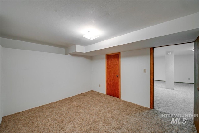 finished basement with carpet