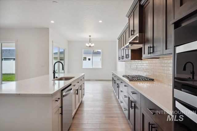 6139 W Burnt Sage Dr, Meridian, ID 83646 - kitchen with light wood-style floors, dark brown cabinetry, a sink, stainless steel appliances, and a notable chandelier