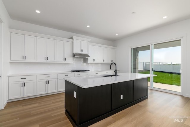 9124 W Patmore Ct, Star, ID 83669 - kitchen with under cabinet range hood, a sink, light wood-style flooring, light countertops, and white cabinets