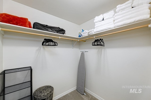 5158 S Surprise Way, Boise, ID 83716 - spacious closet with carpet flooring